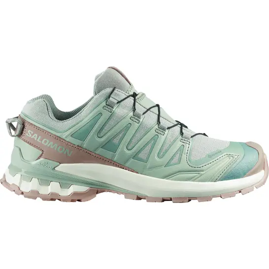 Schuhe XA PRO 3D V9 GTX LIFELO 