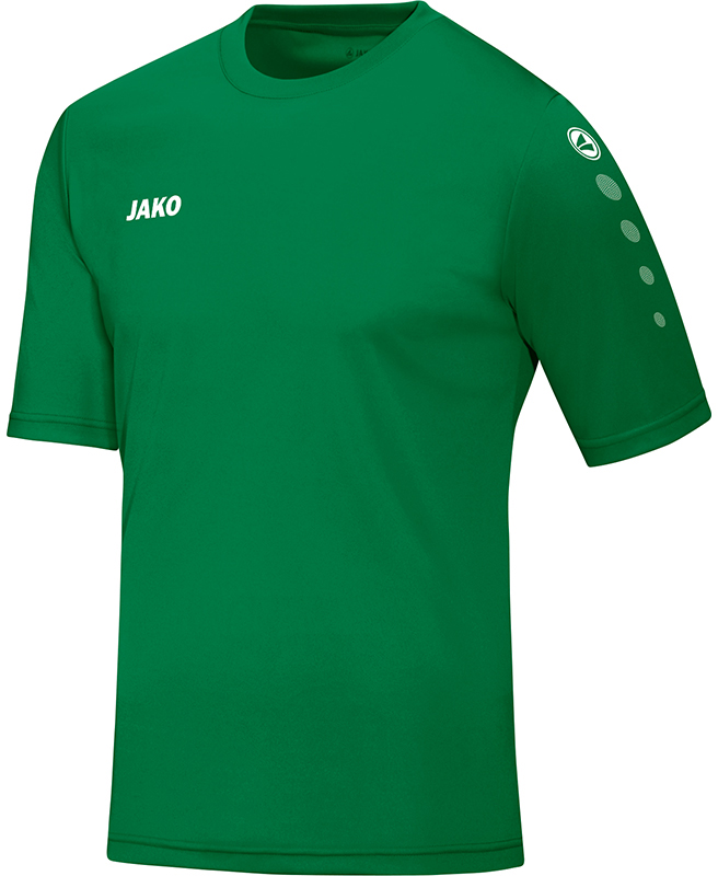 Trikot Team KA 