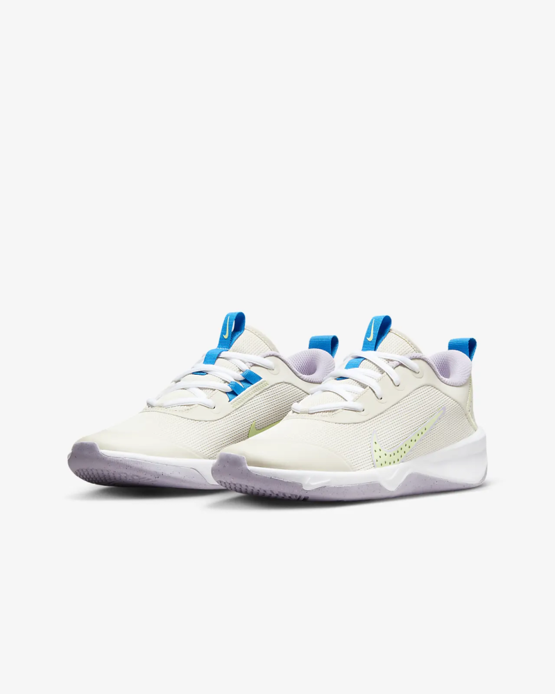 Nike Omni Multi-Court Big Kids 