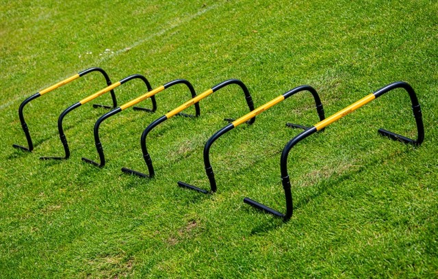 30cm Hürden 6er Set 