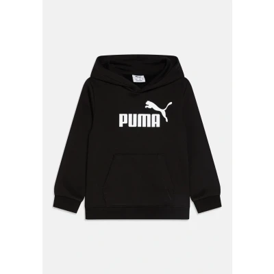 ESS No. 1 Logo Hoodie FL P 