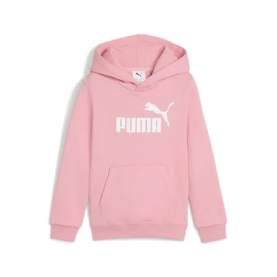 ESS No. 1 Logo Hoodie FL P 