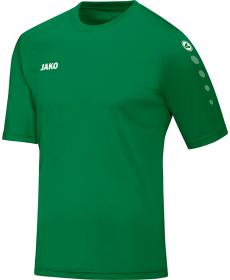 Trikot Team KA 
